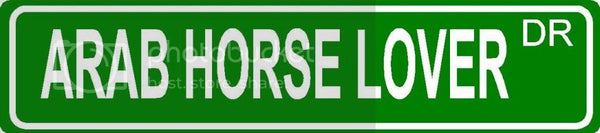 ARAB HORSE LOVER Green 4" x 18" ALUMINUM animal novelty street sign great for indoor or outdoor long term use.