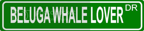 BELUGA WHALE LOVER Green 4" x 18" ALUMINUM animal novelty street sign great for indoor or outdoor long term use.