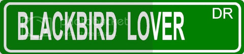 BLACK FLY LOVER Green 4" x 18" ALUMINUM animal novelty street sign great for indoor or outdoor long term use.