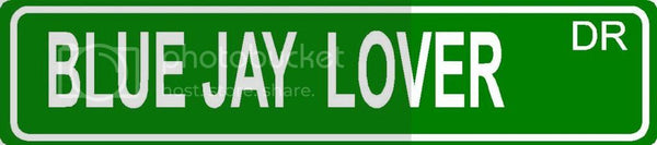 BLUE JAY LOVER Green 4" x 18" ALUMINUM animal novelty street sign great for indoor or outdoor long term use.