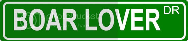 BOAR LOVER Green 4" x 18" ALUMINUM animal novelty street sign great for indoor or outdoor long term use.