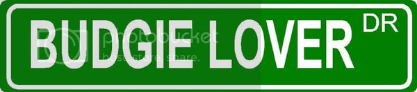 BUDGIE LOVER Green 4" x 18" ALUMINUM animal novelty street sign great for indoor or outdoor long term use.