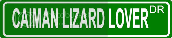 CAIMAN LIZARD LOVER Green 4" x 18" ALUMINUM animal novelty street sign great for indoor or outdoor long term use.