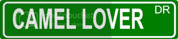 CAMEL LOVER Green 4" x 18" ALUMINUM animal novelty street sign great for indoor or outdoor long term use.