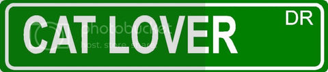 CAT LOVER Green 4" x 18" ALUMINUM animal novelty street sign great for indoor or outdoor long term use.