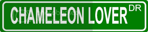 CHAMELEON LOVER Green 4" x 18" ALUMINUM animal novelty street sign great for indoor or outdoor long term use.
