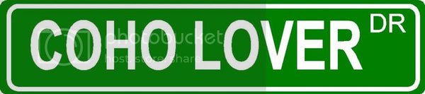 COHO LOVER Green 4" x 18" ALUMINUM animal novelty street sign great for indoor or outdoor long term use.