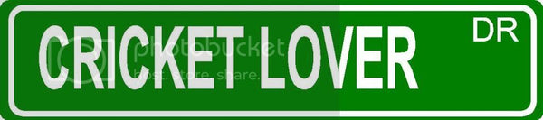 CRICKET LOVER Green 4" x 18" ALUMINUM animal novelty street sign great for indoor or outdoor long term use.