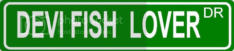 DEVI FISH  LOVER Green 4" x 18" ALUMINUM animal novelty street sign great for indoor or outdoor long term use.