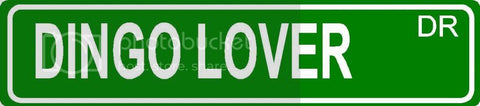 DINGO LOVER Green 4" x 18" ALUMINUM animal novelty street sign great for indoor or outdoor long term use.