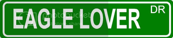 EAGLE LOVER Green 4" x 18" ALUMINUM animal novelty street sign great for indoor or outdoor long term use.