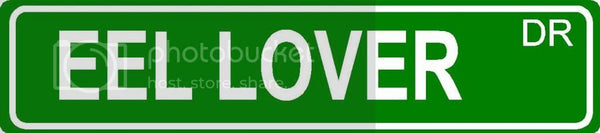 EEL LOVER Green 4" x 18" ALUMINUM animal novelty street sign great for indoor or outdoor long term use.