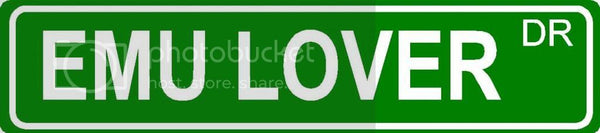 EMU LOVER Green 4" x 18" ALUMINUM animal novelty street sign great for indoor or outdoor long term use.