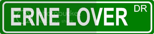 ERNE LOVER Green 4" x 18" ALUMINUM animal novelty street sign great for indoor or outdoor long term use.