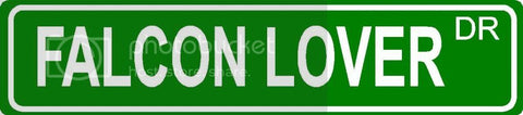 FALCON LOVER Green 4" x 18" ALUMINUM animal novelty street sign great for indoor or outdoor long term use.