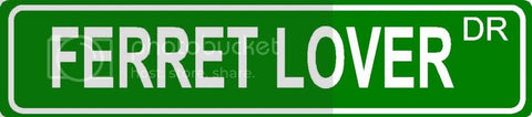 FERRET LOVER Green 4" x 18" ALUMINUM animal novelty street sign great for indoor or outdoor long term use.