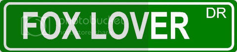 FOX LOVER Green 4" x 18" ALUMINUM animal novelty street sign great for indoor or outdoor long term use.