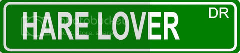 HARE LOVER Green 4" x 18" ALUMINUM animal novelty street sign great for indoor or outdoor long term use.