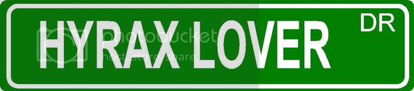 HYRAX LOVER Green 4" x 18" ALUMINUM animal novelty street sign great for indoor or outdoor long term use.