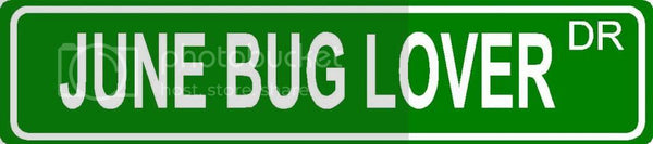 JUNE BUG LOVER Green 4" x 18" ALUMINUM animal novelty street sign great for indoor or outdoor long term use.