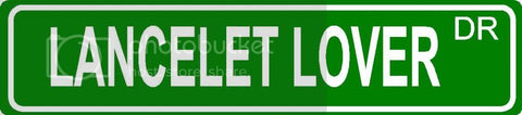 LANCELET LOVER Green 4" x 18" ALUMINUM animal novelty street sign great for indoor or outdoor long term use.