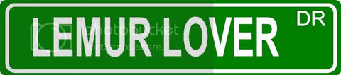 LEMUR LOVER Green 4" x 18" ALUMINUM animal novelty street sign great for indoor or outdoor long term use.