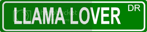 LLAMA LOVER Green 4" x 18" ALUMINUM animal novelty street sign great for indoor or outdoor long term use.