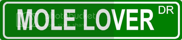 MOLE LOVER Green 4" x 18" ALUMINUM animal novelty street sign great for indoor or outdoor long term use.