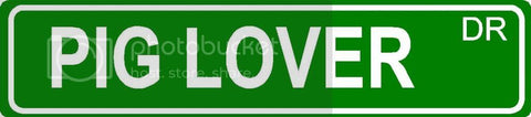 PIG LOVER Green 4" x 18" ALUMINUM animal novelty street sign great for indoor or outdoor long term use.