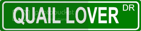 QUAIL LOVER Green 4" x 18" ALUMINUM animal novelty street sign great for indoor or outdoor long term use.