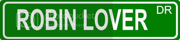 ROBIN LOVER Green 4" x 18" ALUMINUM animal novelty street sign great for indoor or outdoor long term use.