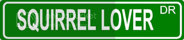 SQUIRREL LOVER Green 4" x 18" ALUMINUM animal novelty street sign great for indoor or outdoor long term use.