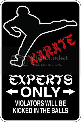 9"x12" Aluminum  karate expert funny  parking sign for indoors or outdoors