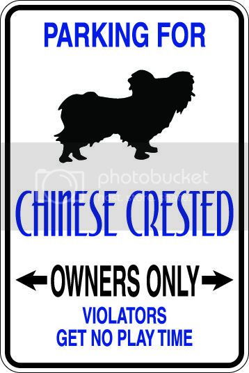 9"x12" Aluminum  chinese creste dog owner  funny  parking sign for indoors or outdoors