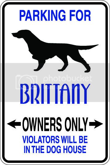 9"x12" Aluminum  brittany dog owner  funny  parking sign for indoors or outdoors