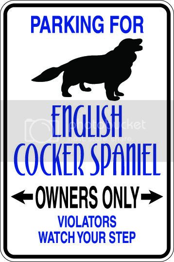 9"x12" Aluminum  english cocker spaniel dog owner  funny  parking sign for indoors or outdoors