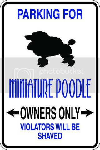 9"x12" Aluminum  miniature poodle  funny  parking sign for indoors or outdoors