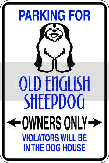 9"x12" Aluminum  old english sheep dog owner  funny  parking sign for indoors or outdoors